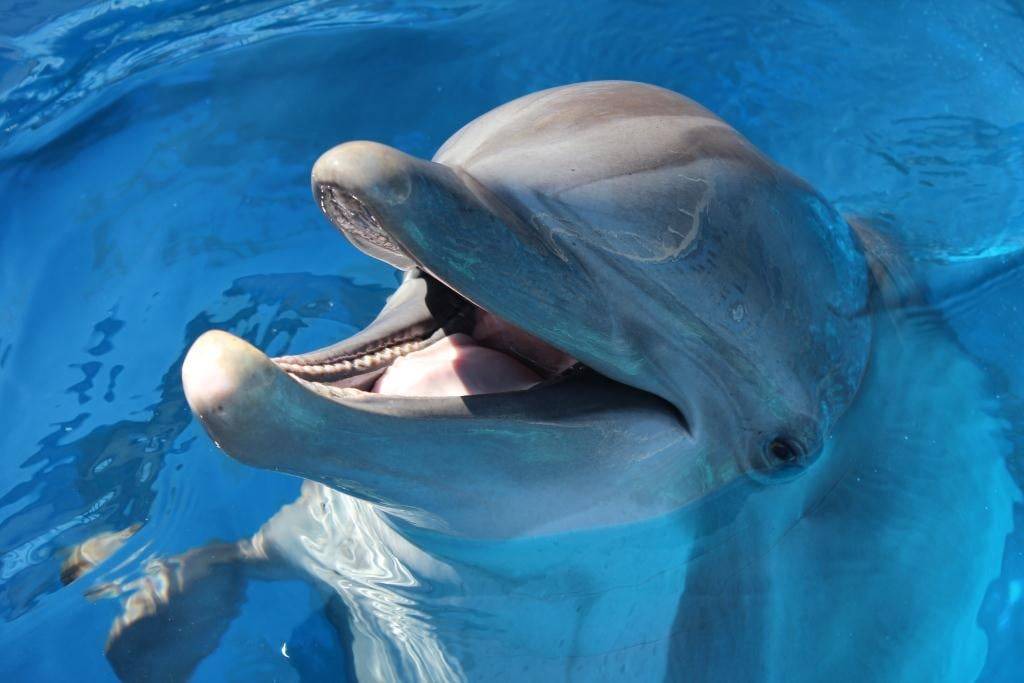 Photo of Others in Fort Walton Beach