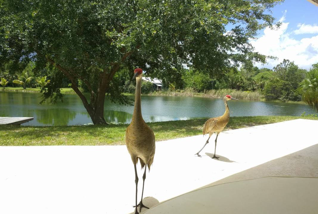 Photo of Others in Jupiter Farms
