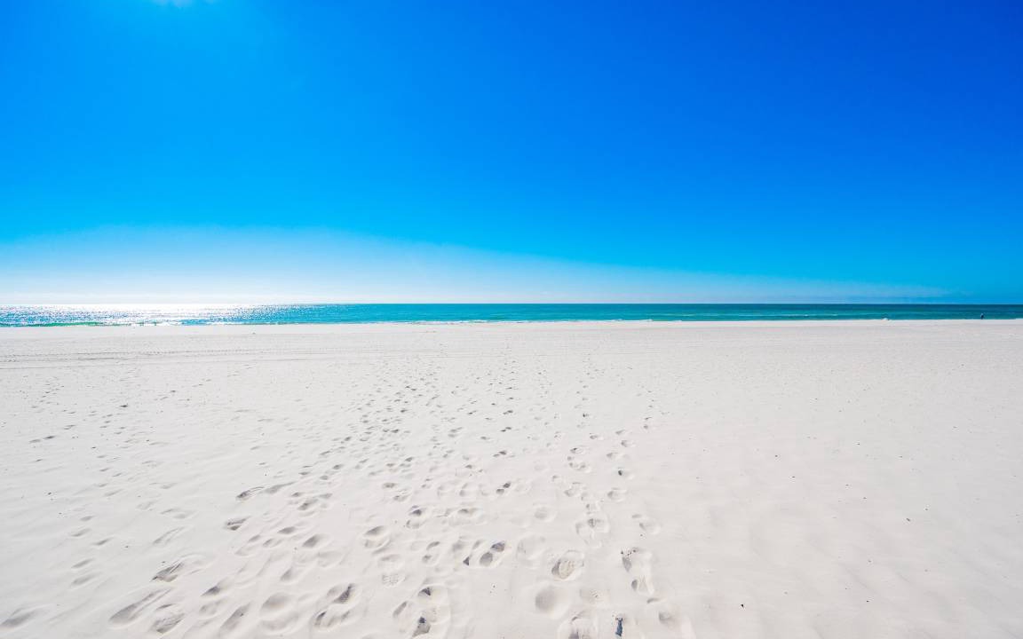 Photo of Others in Gulf Shores