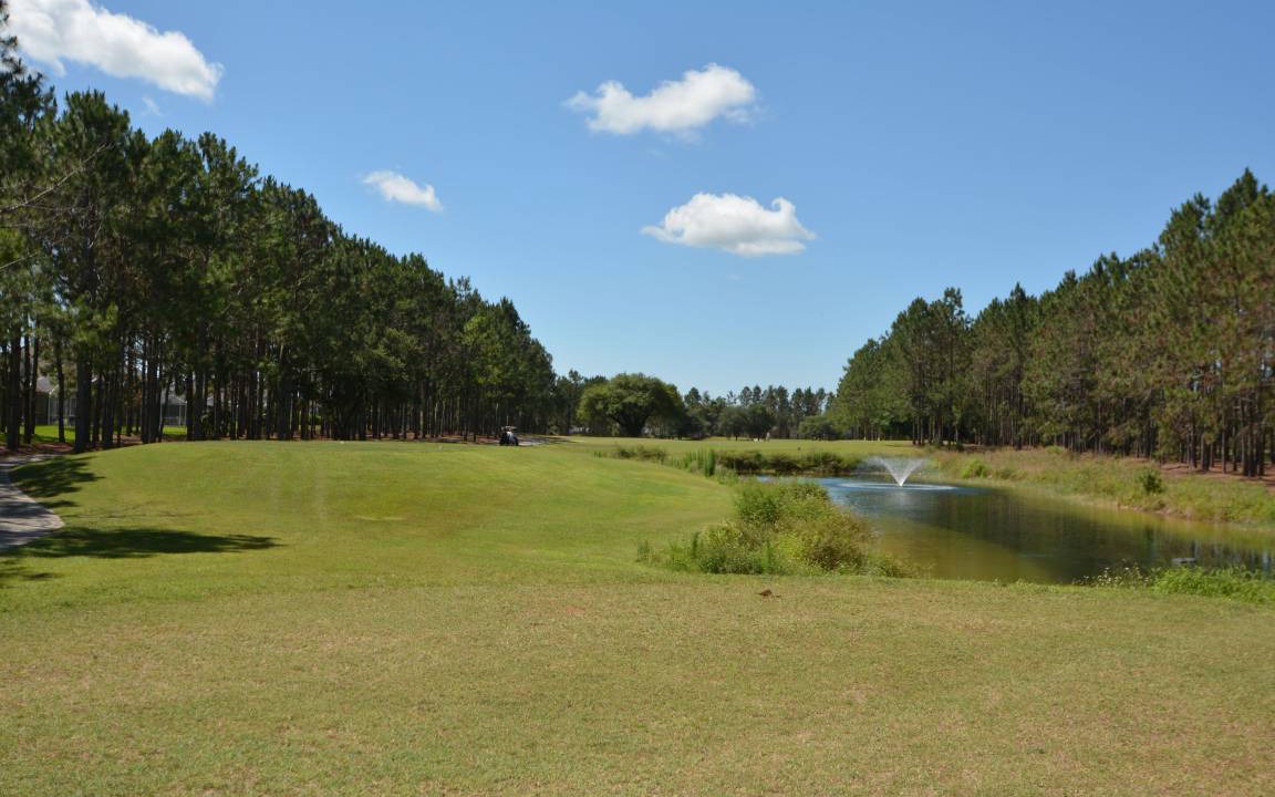 Photo of Others in Highlands Reserve