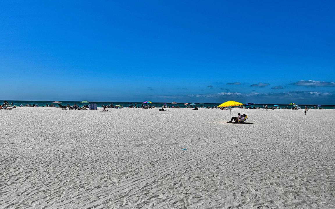 Photo of Others in Sarasota