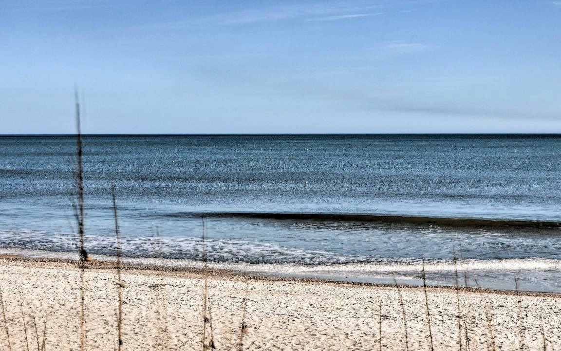 Photo of Others in Fernandina Beach