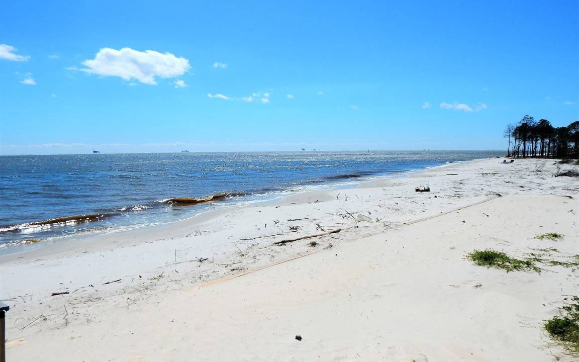 Photo of Others in Dauphin Island