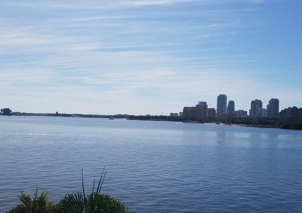 Photo of Others in St. Petersburg - Clearwater