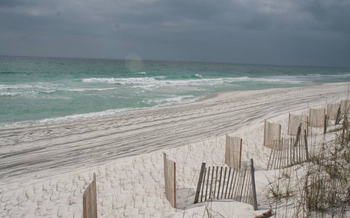 Photo of Others in Pensacola Beach