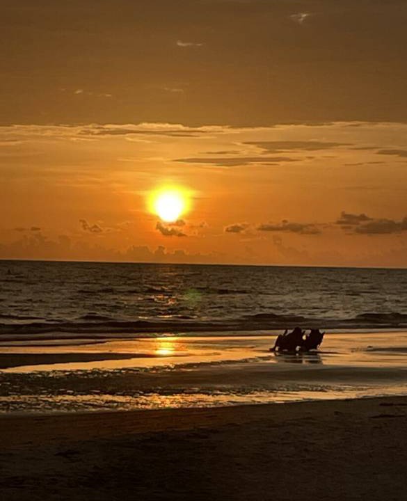 Photo of Others in Redington Shores