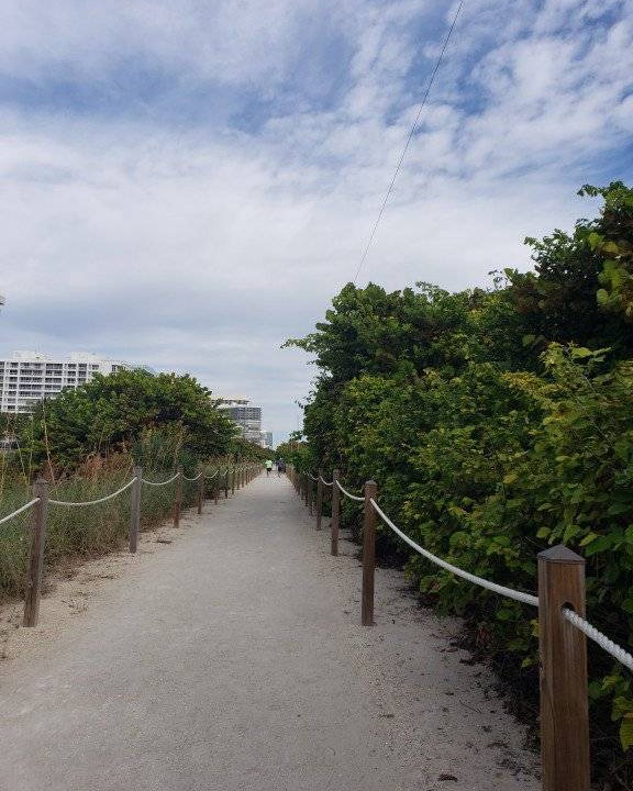 Photo of Others in Surfside