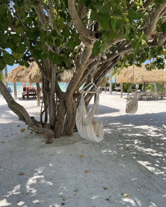 Photo of Others in White Marlin Beach
