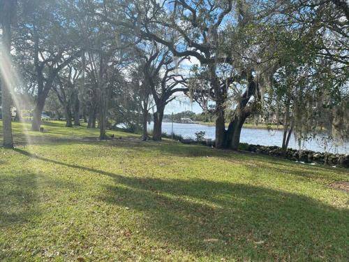 Photo of Others in South Seminole Heights