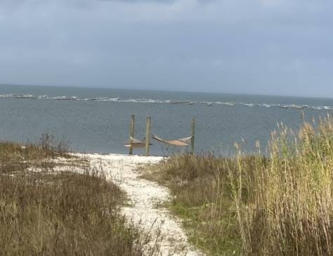 Photo of Others in Dauphin Island