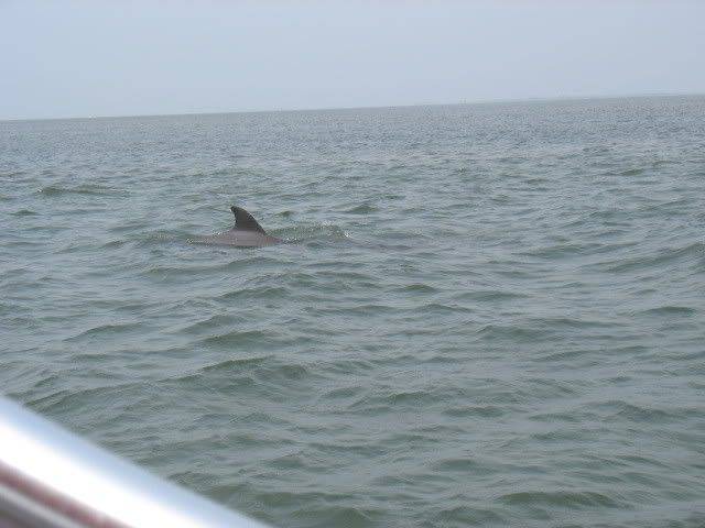 Photo of Others in Bradenton Beach