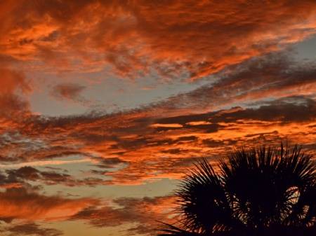 Photo of Others in St. Augustine Beach