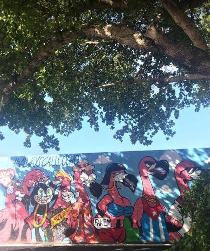 Photo of Others in Little Havana