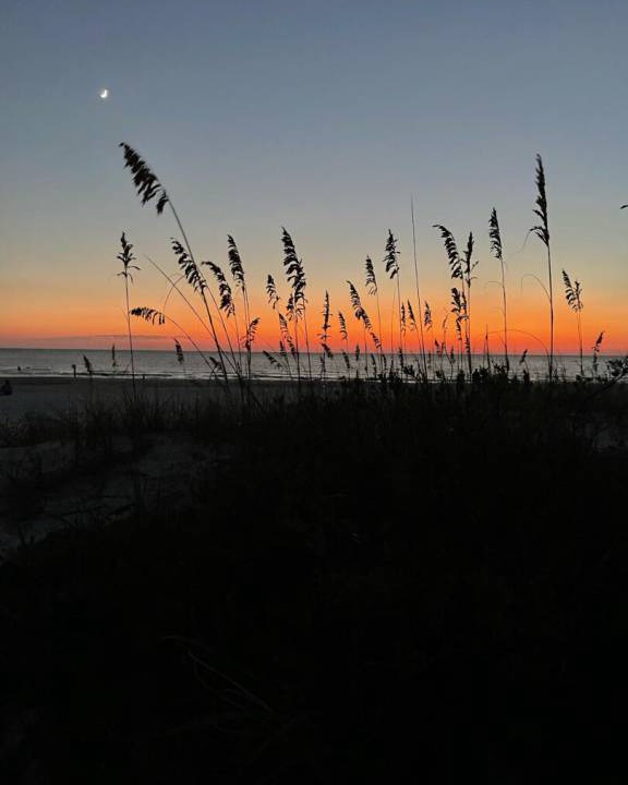Photo of Others in Redington Shores