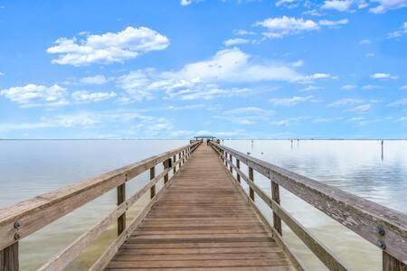 Photo of Others in Safety Harbor