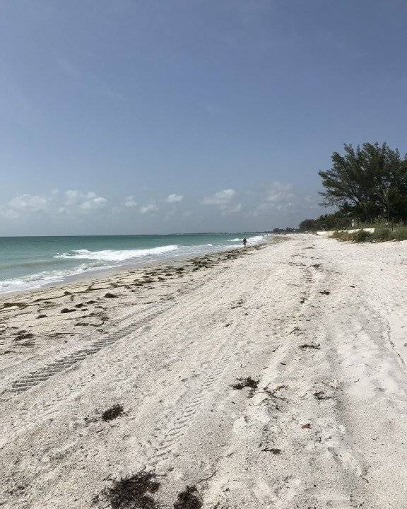 Photo of Others in South Gulf Cove