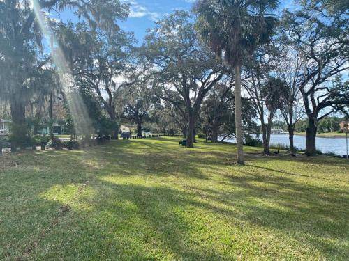 Photo of Others in South Seminole Heights