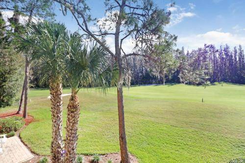 Photo of Others in Wesley Chapel