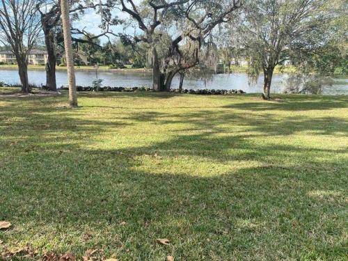 Photo of Outdoor in South Seminole Heights