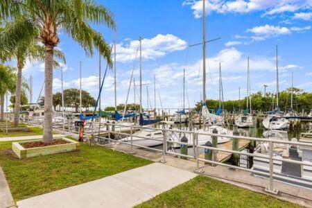 Photo of Others in Safety Harbor