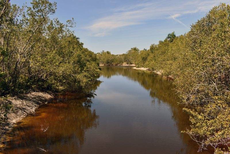 Photo of Outdoor in Gulf Pines