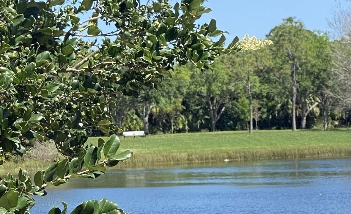 Photo of Outdoor in Hobe Sound