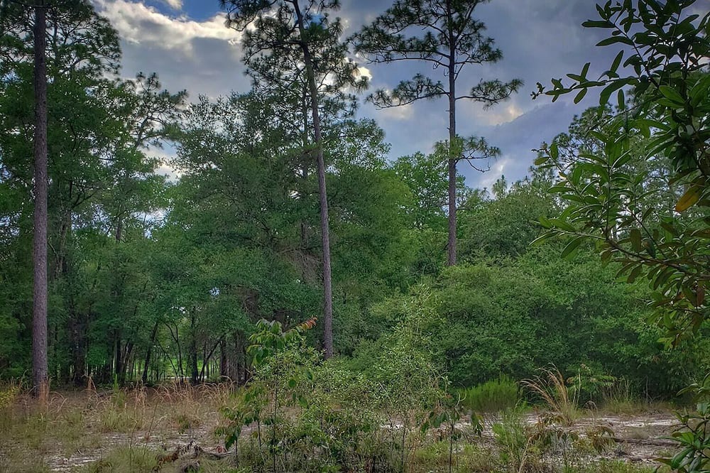 Photo of Outdoor in Edgar