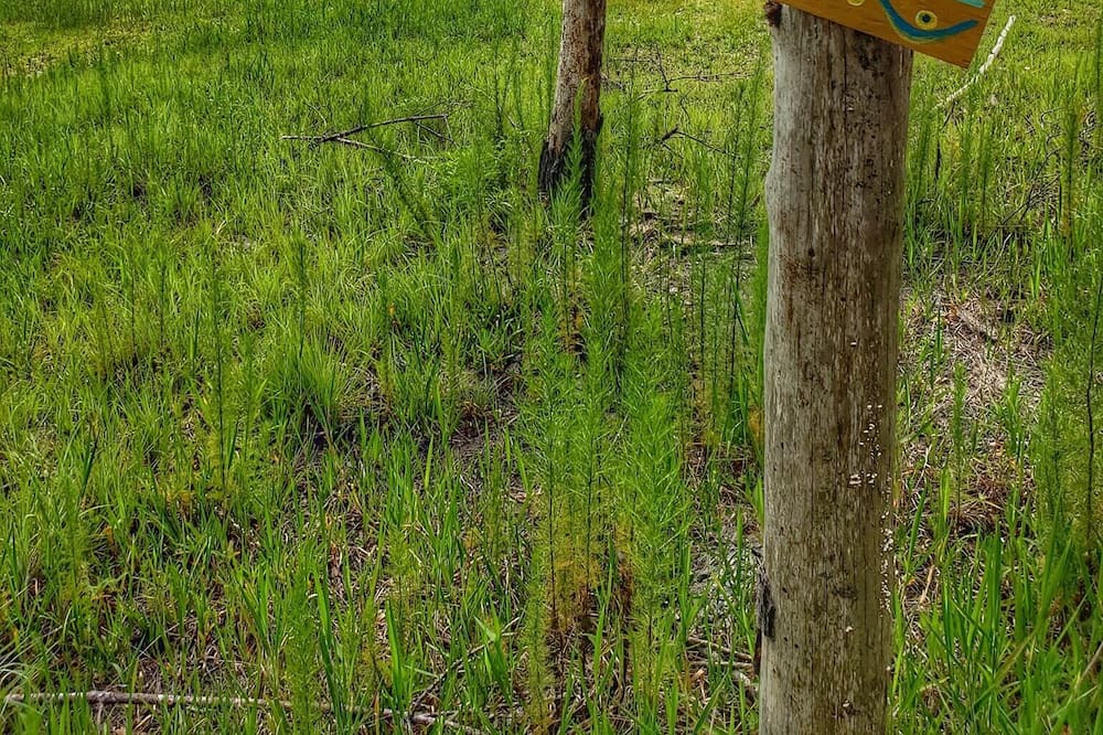 Photo of Outdoor in Edgar
