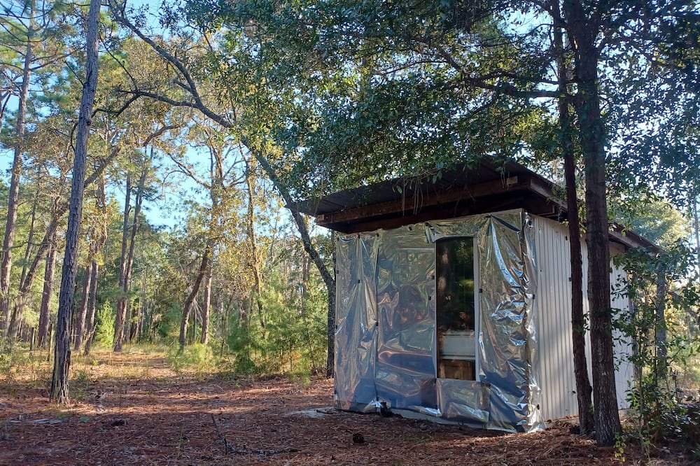 Photo of Outdoor in Edgar