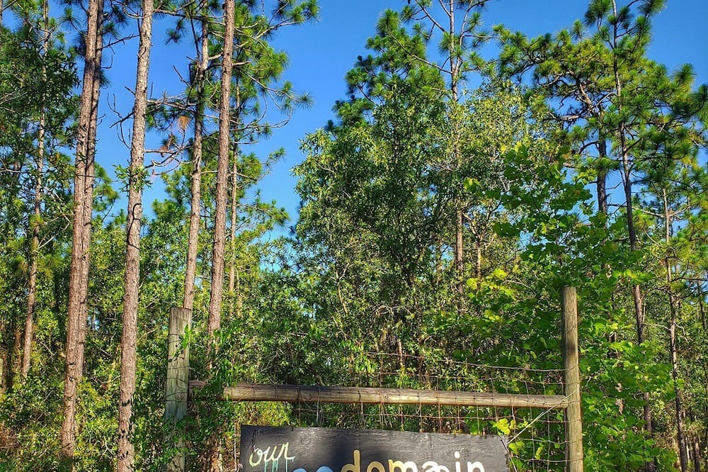 Photo of Outdoor in Edgar