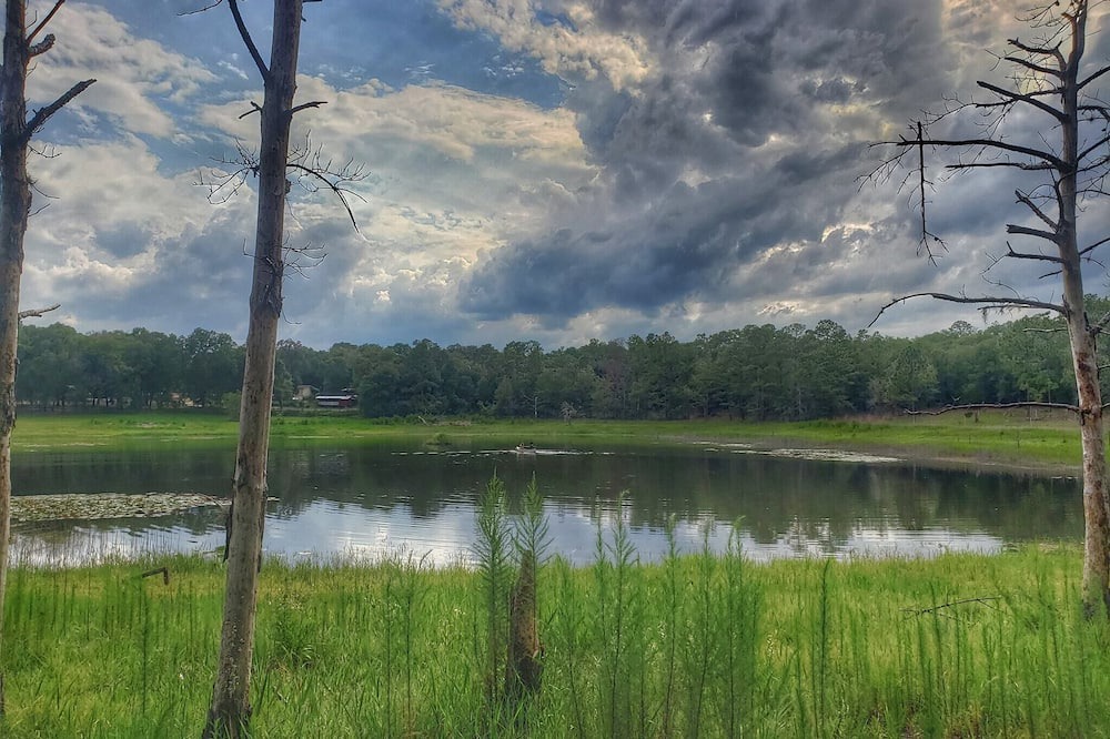 Photo of Outdoor in Edgar