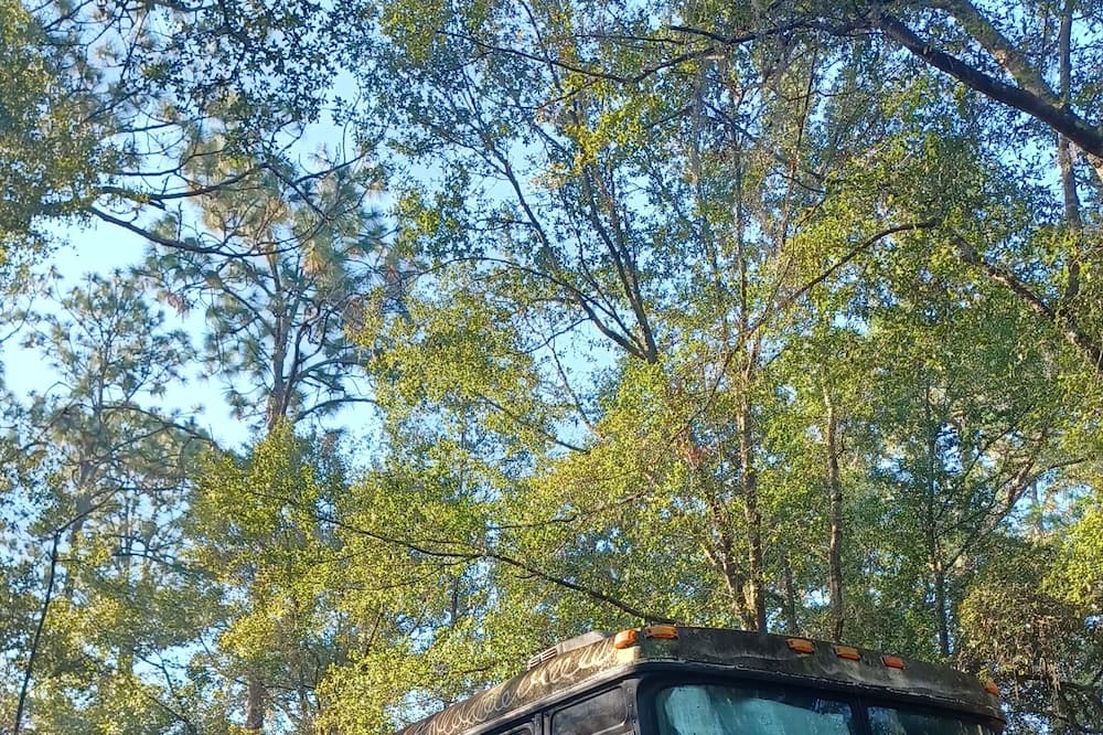 Photo of Outdoor in Edgar