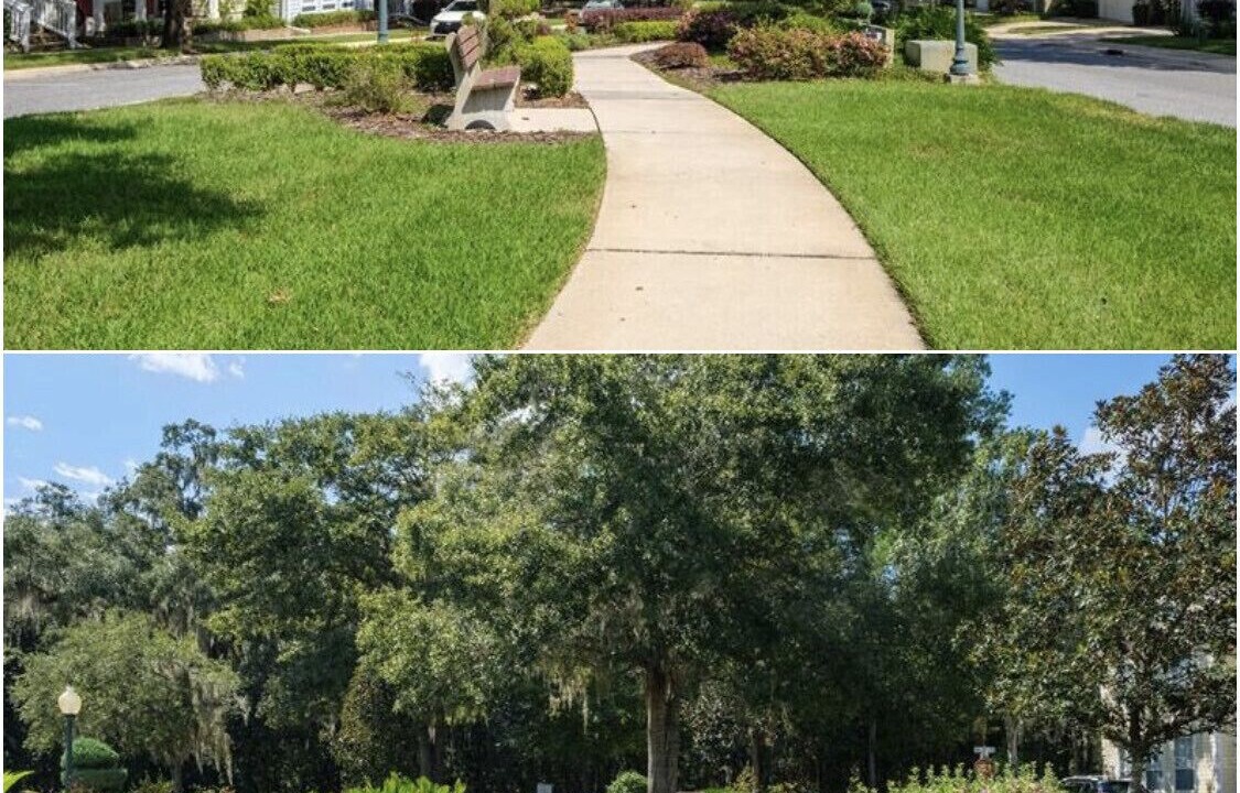 Photo of Outdoor in Gainesville