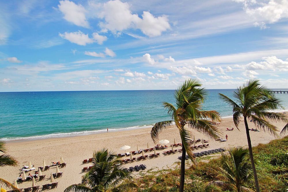Photo of Outdoor in Palm Beach