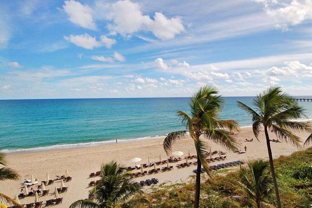 Photo of Outdoor in Palm Beach