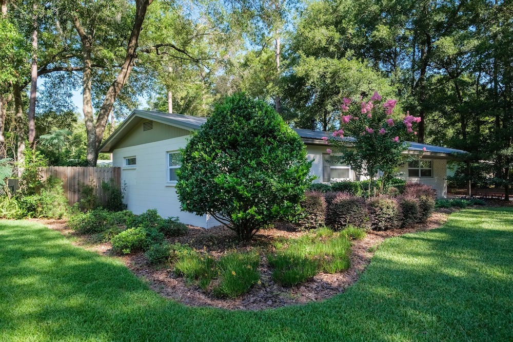 Photo of Outdoor in Springtree
