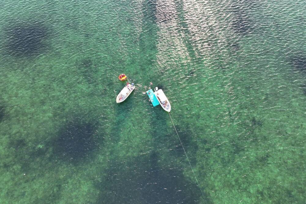 Photo of Others in Indian Waterways