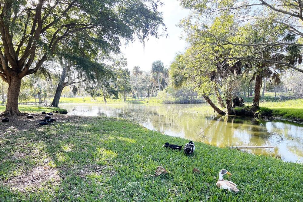 Photo of Others in Gillespie Park