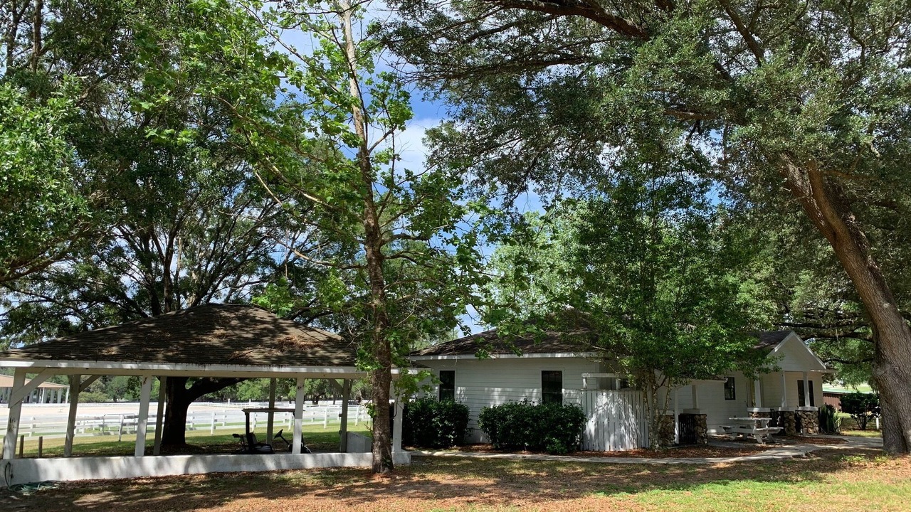Photo of Outdoor in Weirsdale
