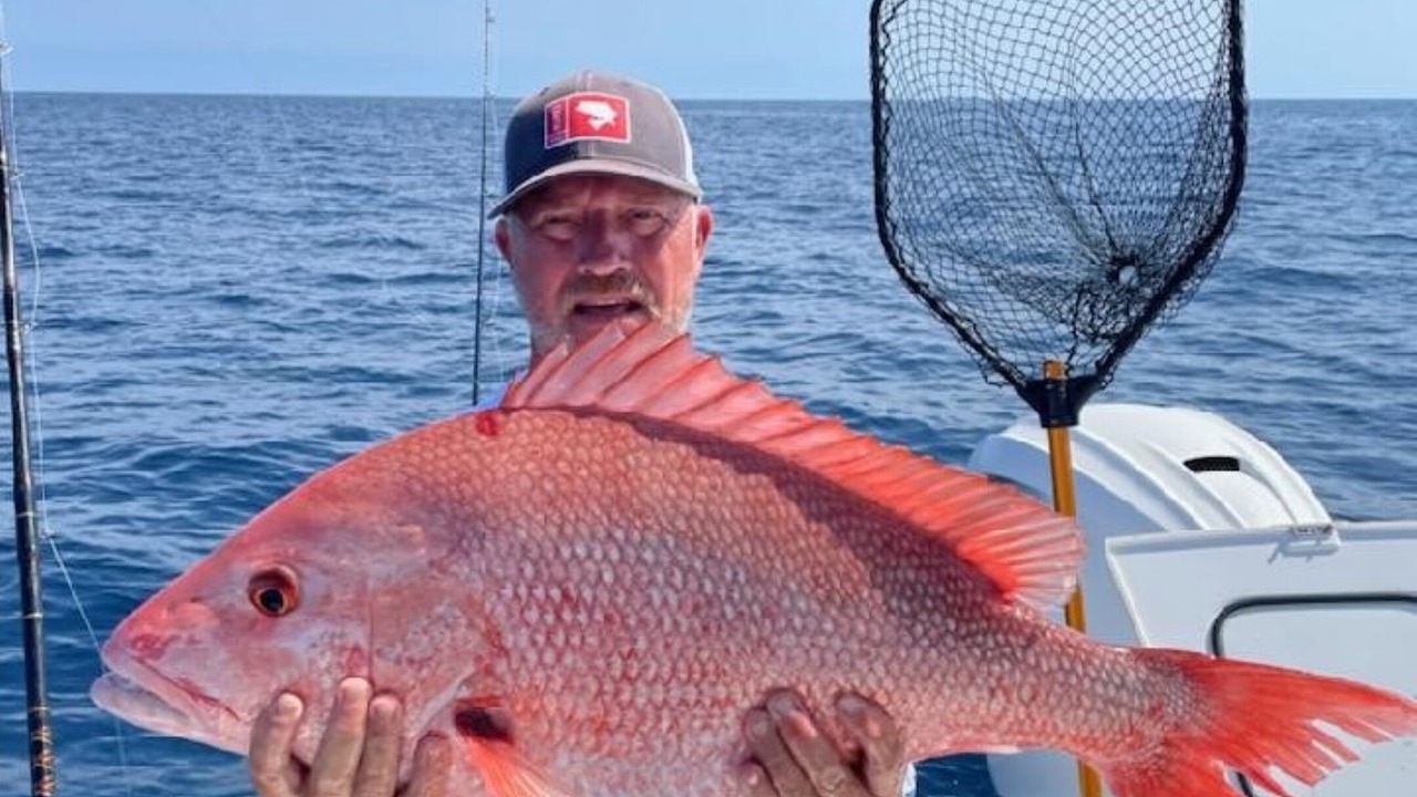 Photo of Others in Sebastian