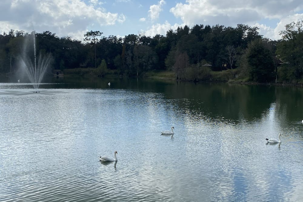 Photo of Outdoor in Valrico