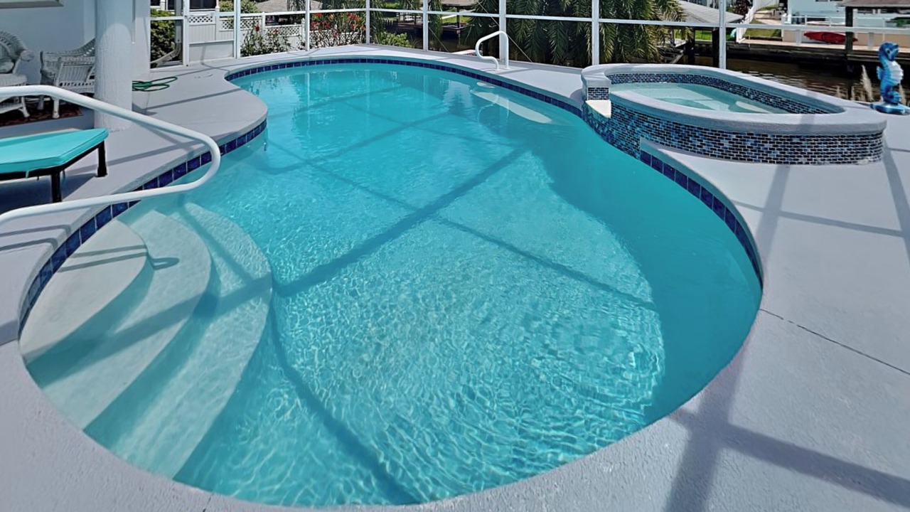 Photo of Others in Palm Harbor