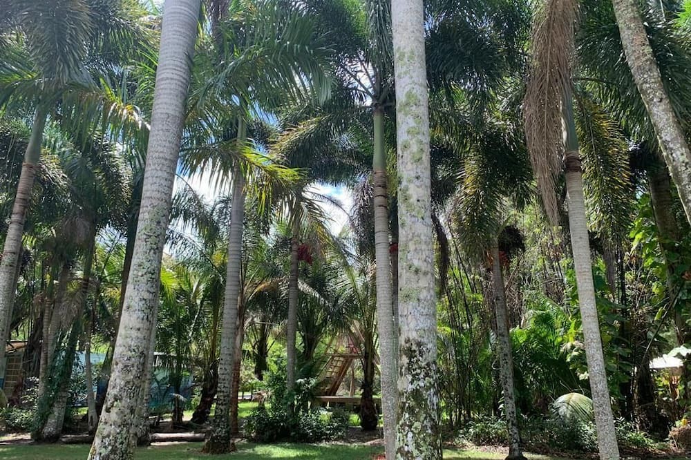 Photo of Outdoor in Cooper City