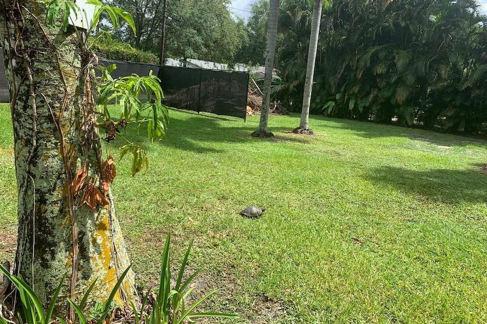 Photo of Outdoor in Cooper City