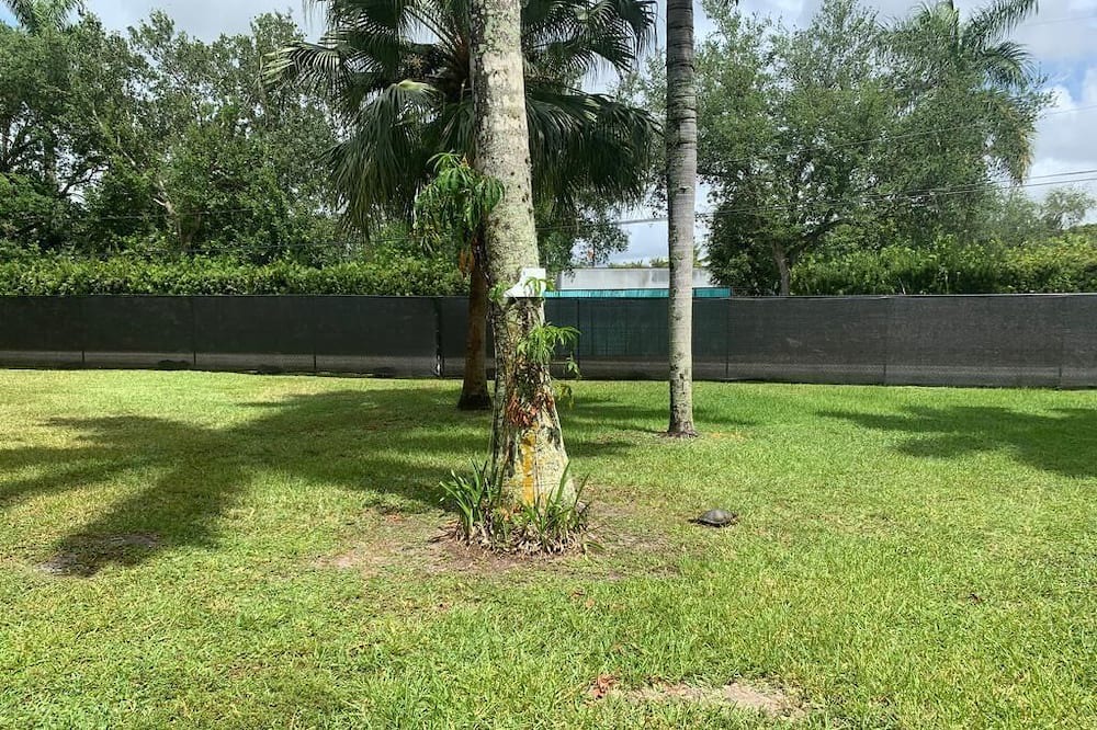 Photo of Outdoor in Cooper City
