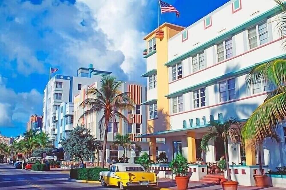 Photo of Outdoor in Biscayne Park