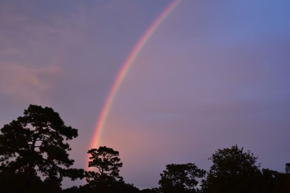 Photo of Outdoor in Reddick