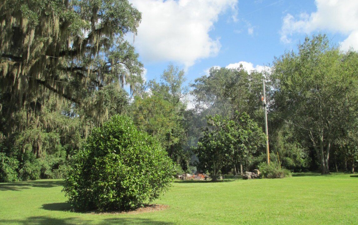 Photo of Others in Tallahassee