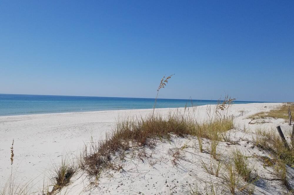 Photo of Others in Perdido Key Coves One