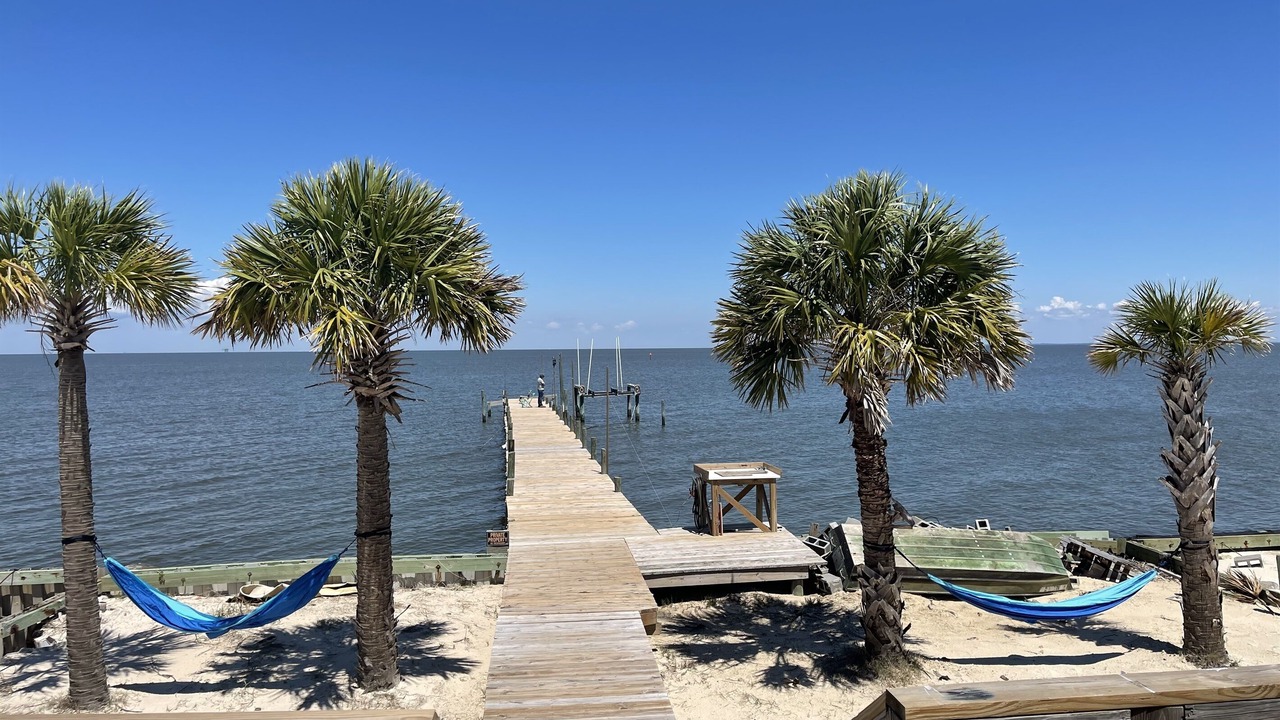 Photo of Outdoor in Fort Morgan Pines